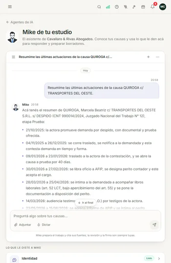 Consulta a Mike IA sobre una causa, en lenguaje común, con su respuesta.